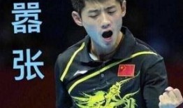 张继科最全爆料视频播放,最全爆料视频背后的故事与心路历程